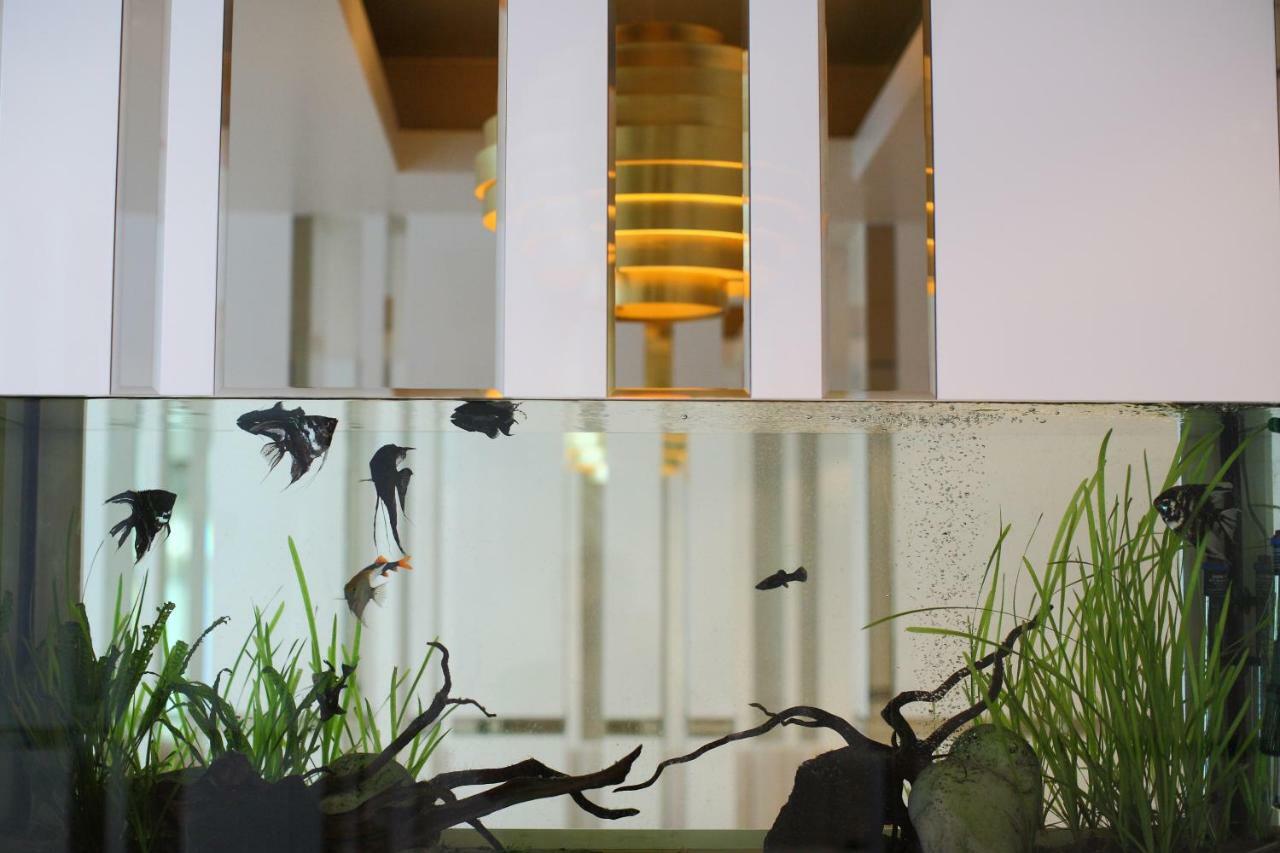 ดาเมียนี ลักชัวรี บูทิก โฮเต็ล แอนด์ สปา Hotel โอมิช ภายนอก รูปภาพ